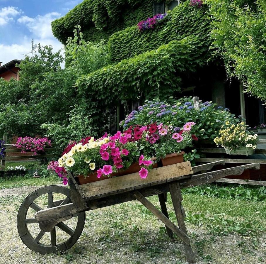 Bed and Breakfast Agriturismo Cascina Selva Ozzero Экстерьер фото